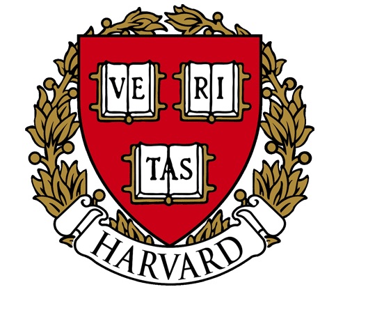 logo 15.jpg